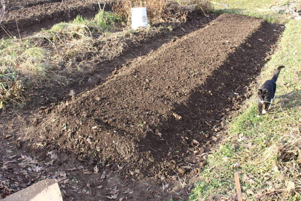 Prepping Open Raised Beds for Winter The CobraHead Blog