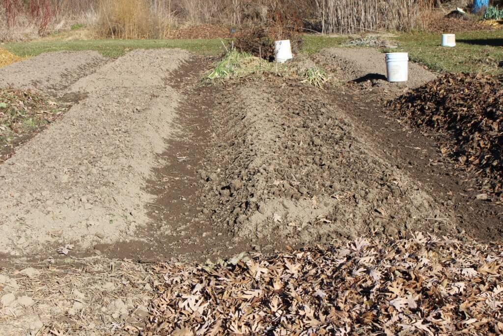 Prepping Open Raised Beds for Winter The CobraHead Blog