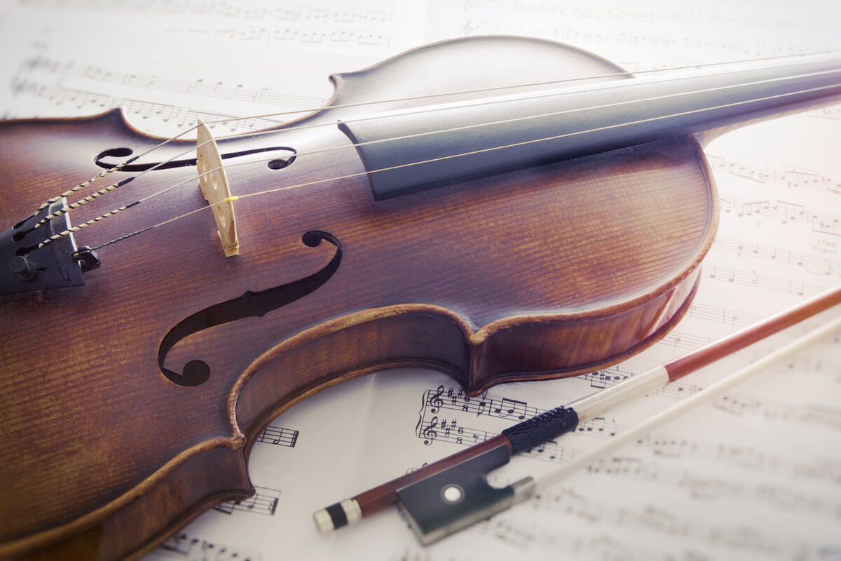 What’s the Difference Between a Violin and a Viola? CodaBow