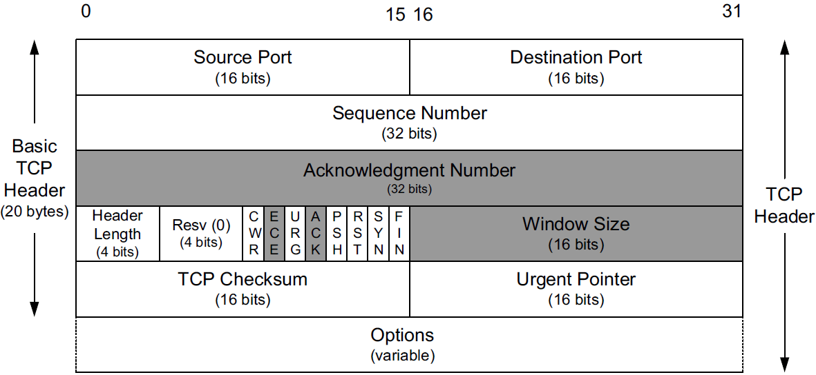 TCP/IP Introduction to TCP