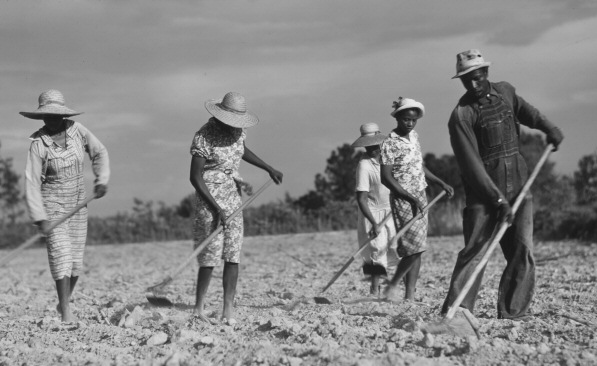 Are You a Digital Sharecropper? Are You a Digital Sharecropper?