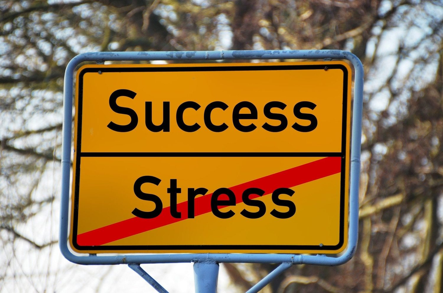 Stress inoculation Can you train for stress? CogniFit's Blog