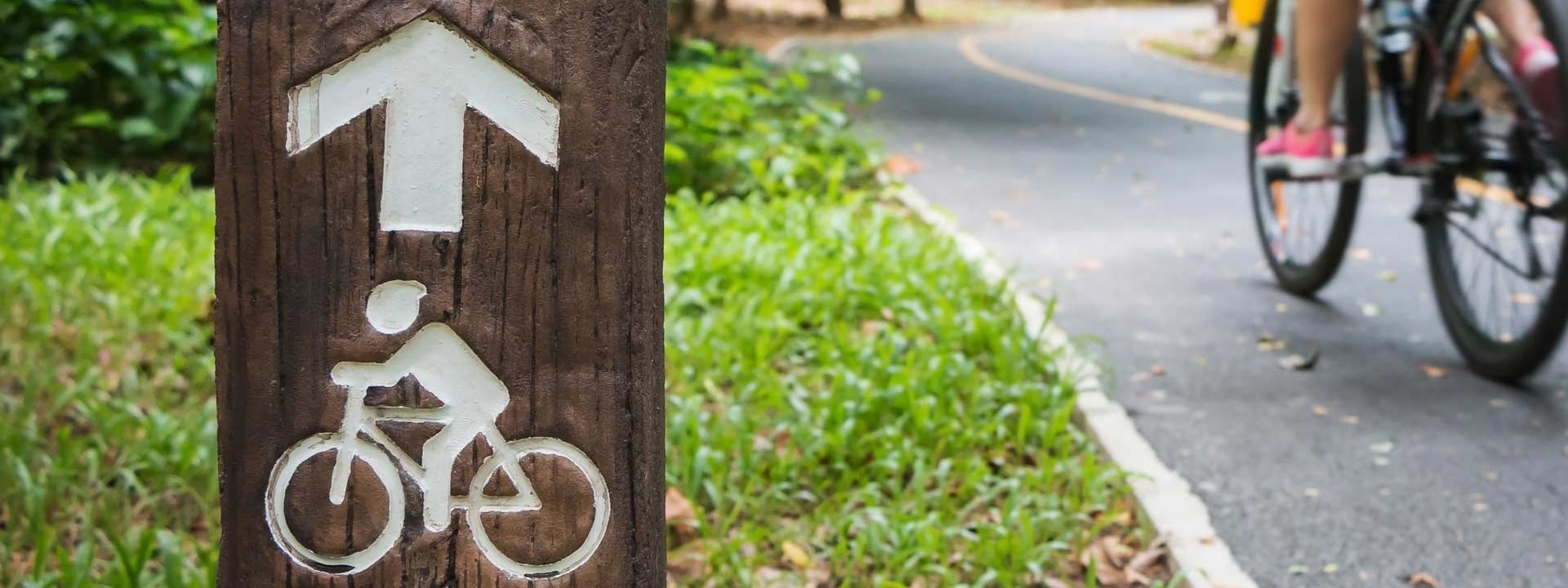 Panama City Beach Bike Rentals Bicycle Rental Companies