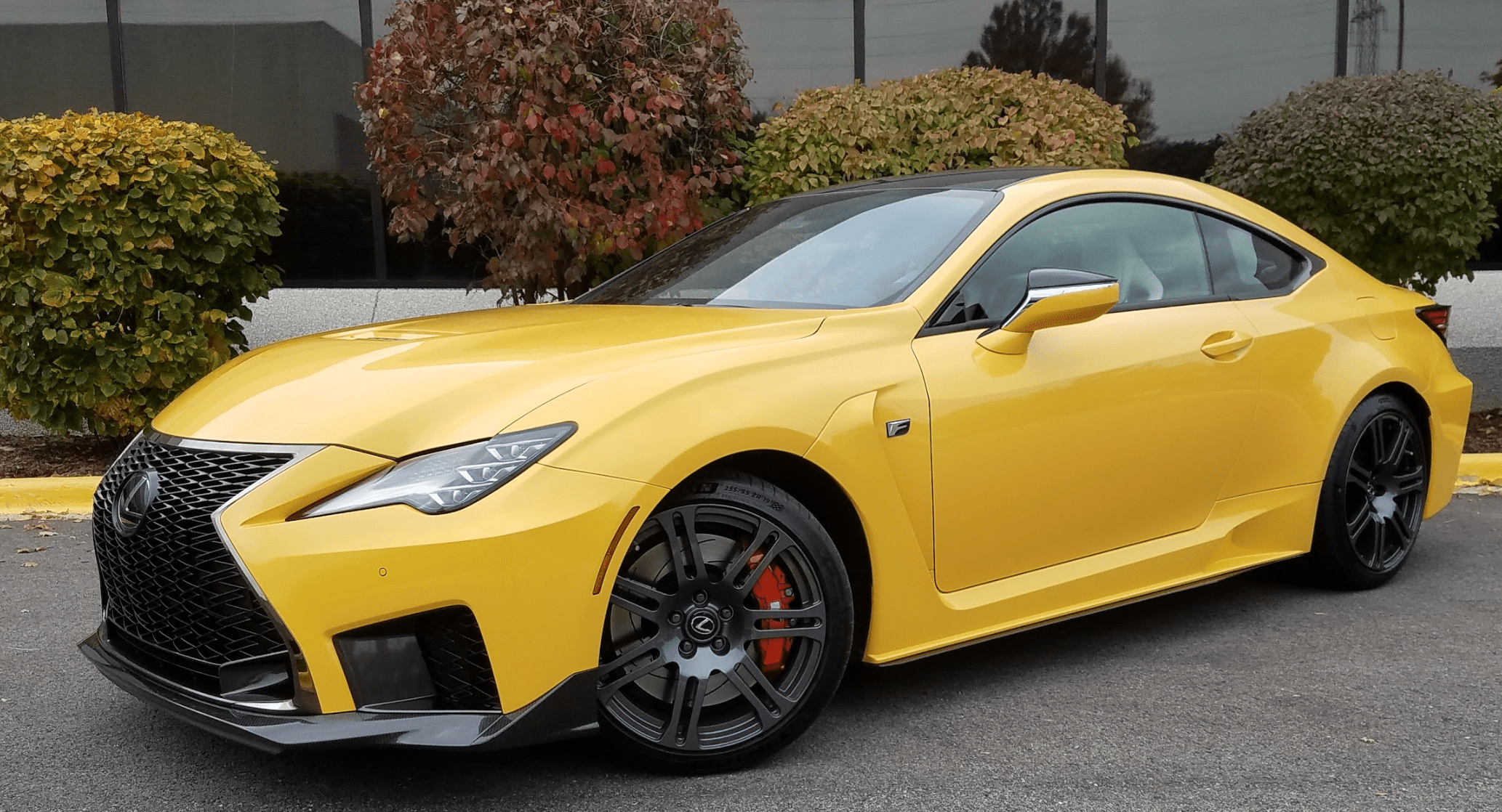 2020 Lexus RC F The Daily Drive Consumer Guide®