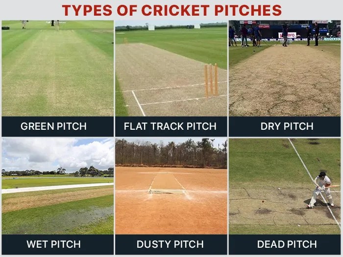 All you need to know about types of pitches in cricket. CricHeroes