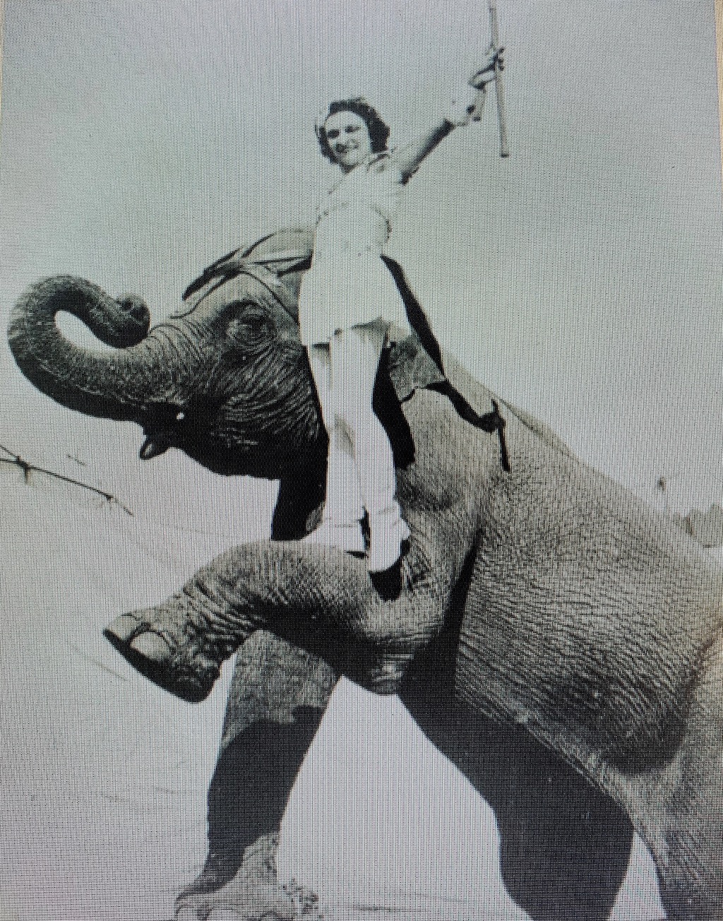 Circus elephant Modoc escaped in Wabash 80 years ago Crown Cruise VacationsCrown Cruise Vacations