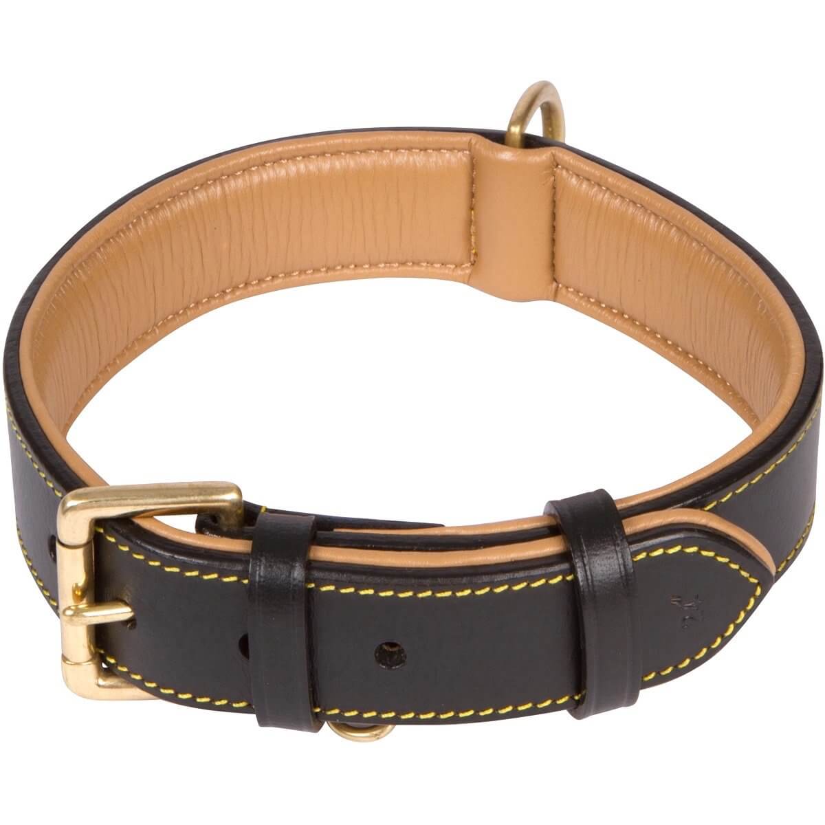 Best Dog Collar for Sensitive Skin and Neck They Deserve