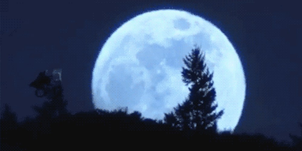 Discovering (or Disproving) Aliens With Data Science