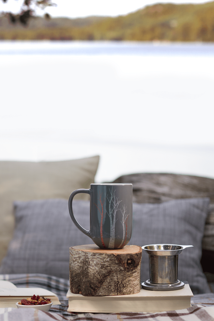 Behind the Scenes The Cozy Cabin Collection Steep Thoughts