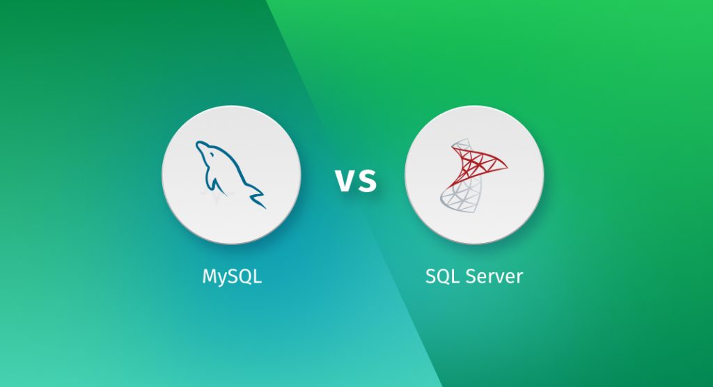 MySQL vs SQL Server Definition and Full Comparison [2024]