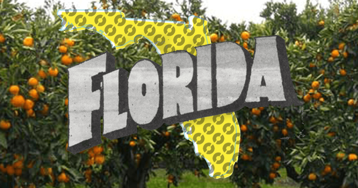 Ten Influential Musicians And Bands From Florida Discogs