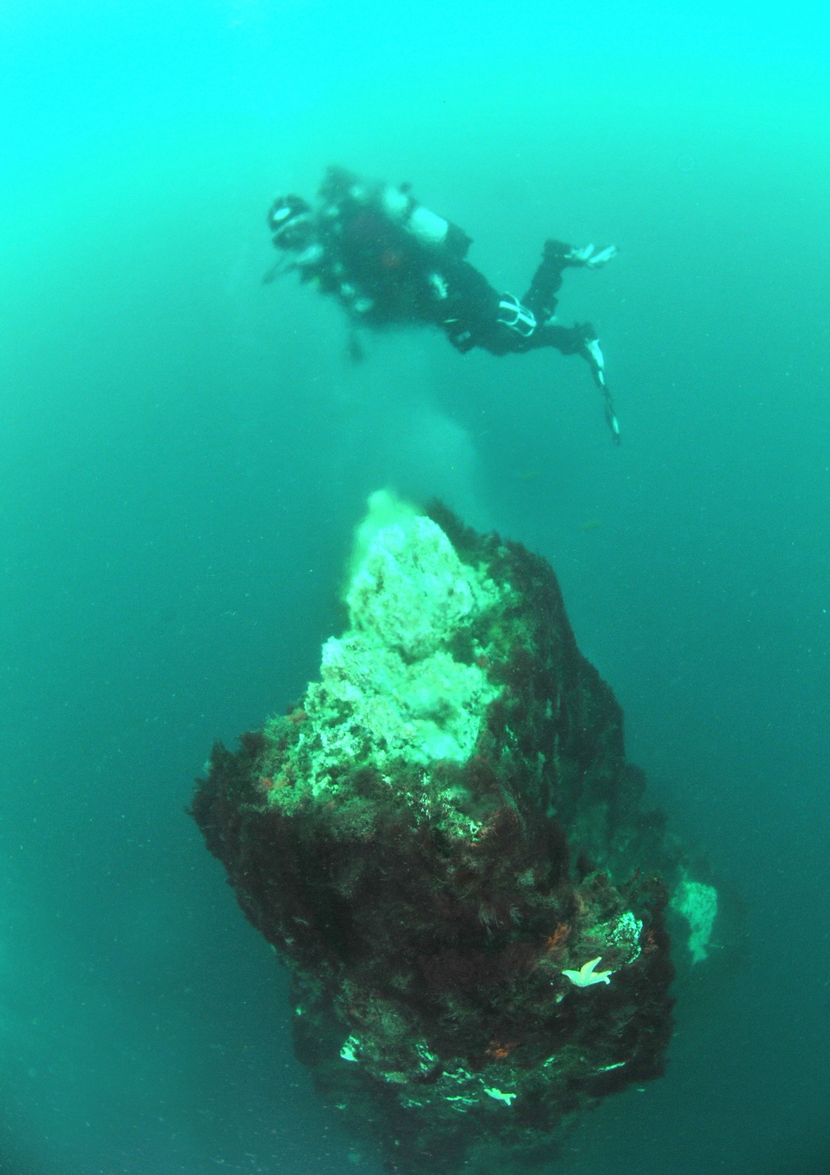 Diving the underwater geyser