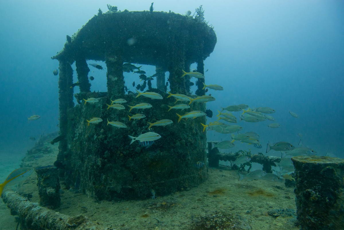 Dive destination Grenada