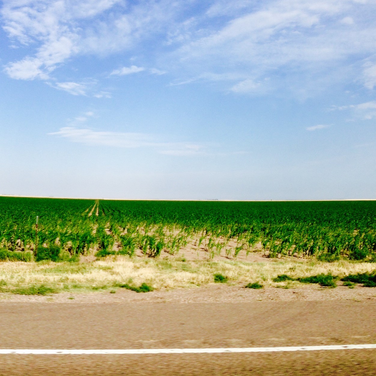 flat Dallas Museum of Art Uncrated