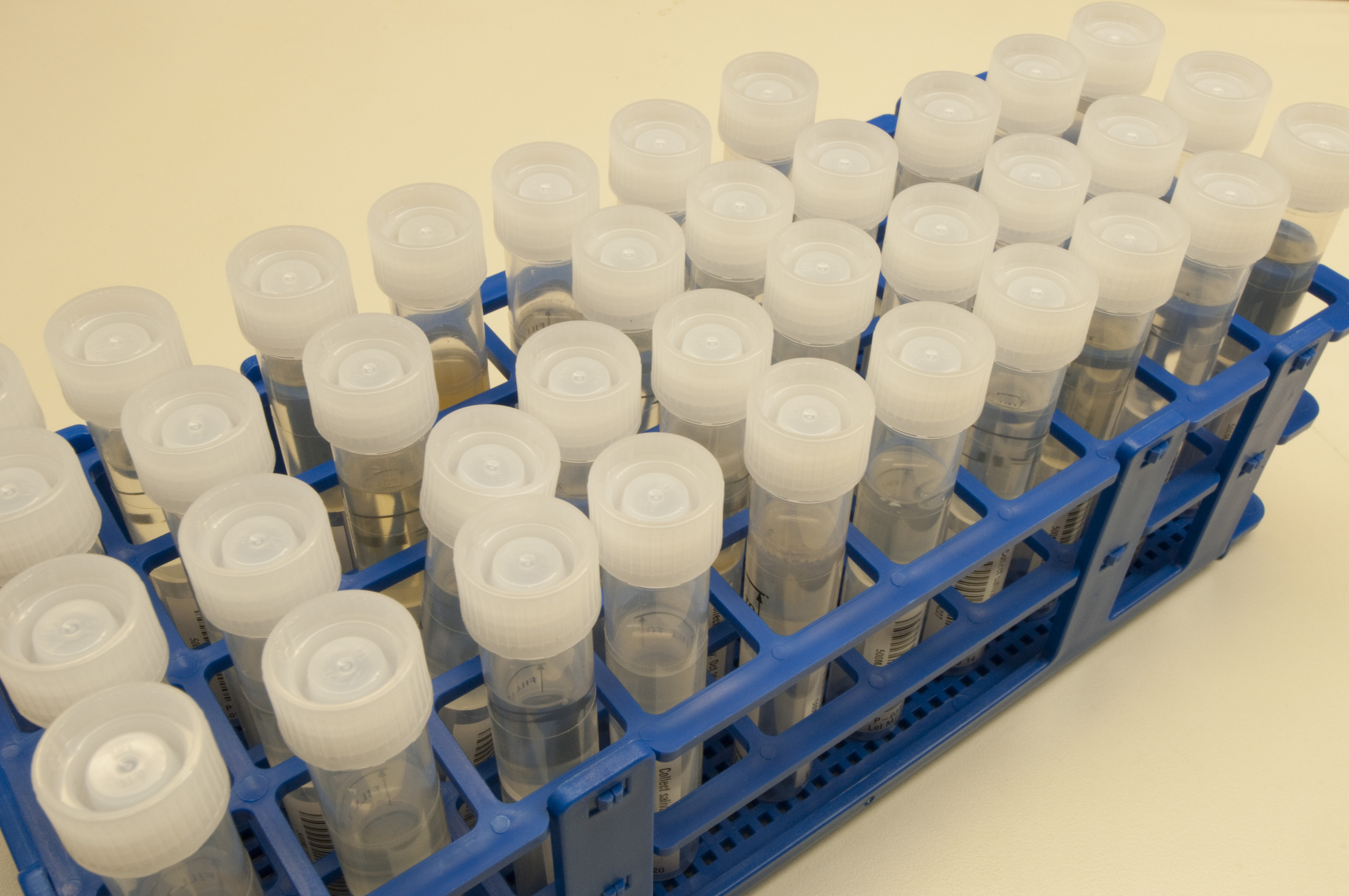 3 reasons why you should stabilize your DNA sample correctly