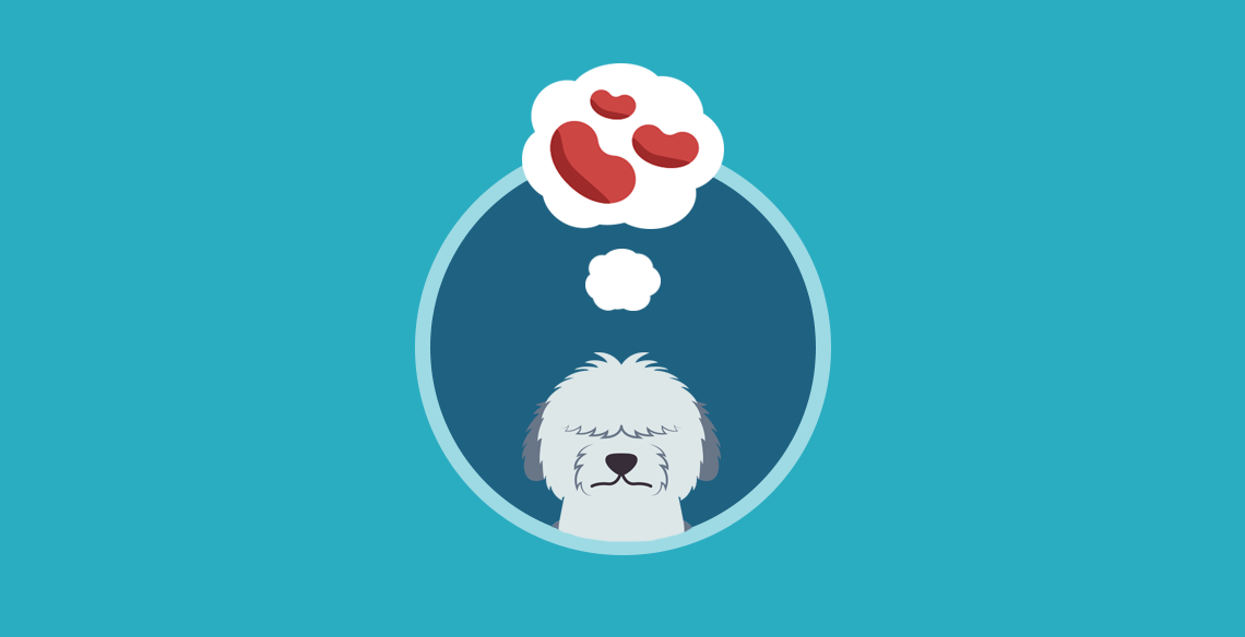 Can Dogs Eat Canned Red Kidney Beans