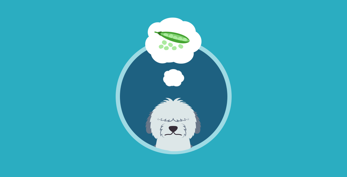 Are Broad Beans Bad For Dogs