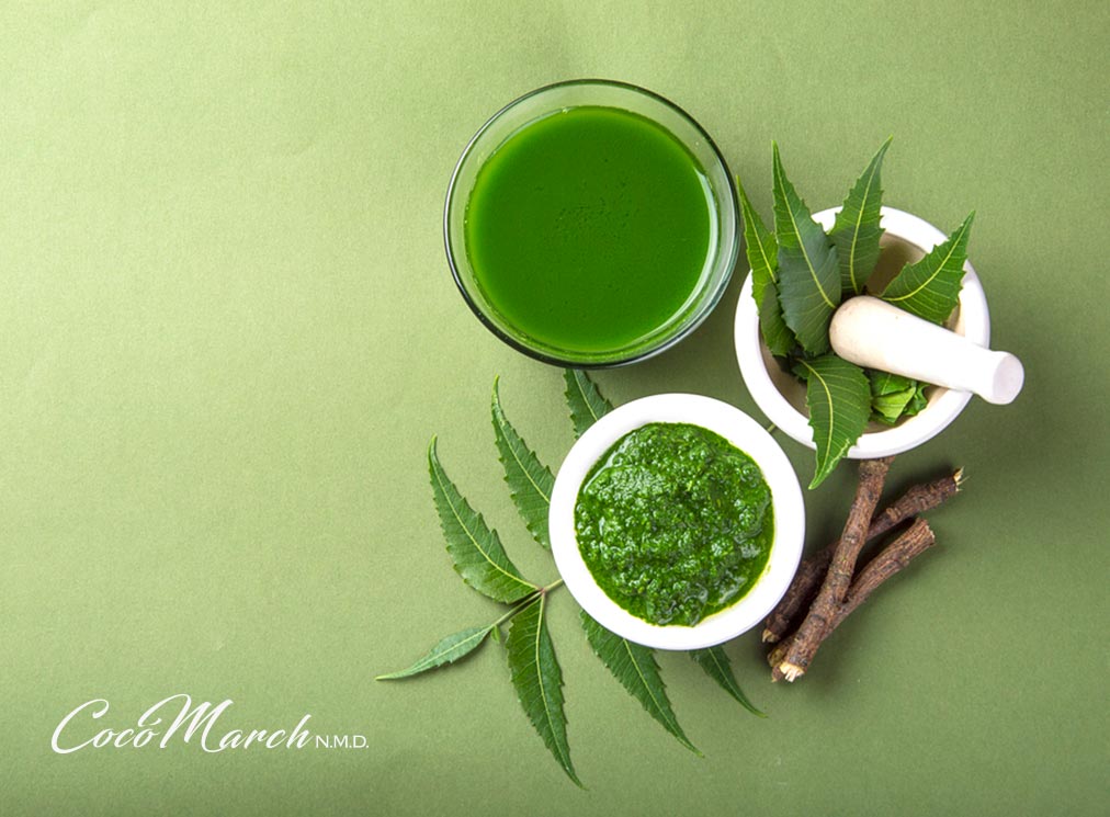 ¿Qué Beneficios Tiene El Té De Neem? Coco March