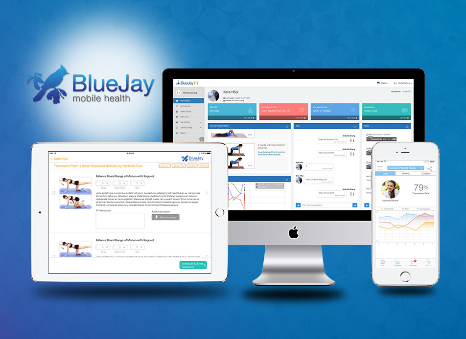 Bluejay The Leading Physical Therapy App in US