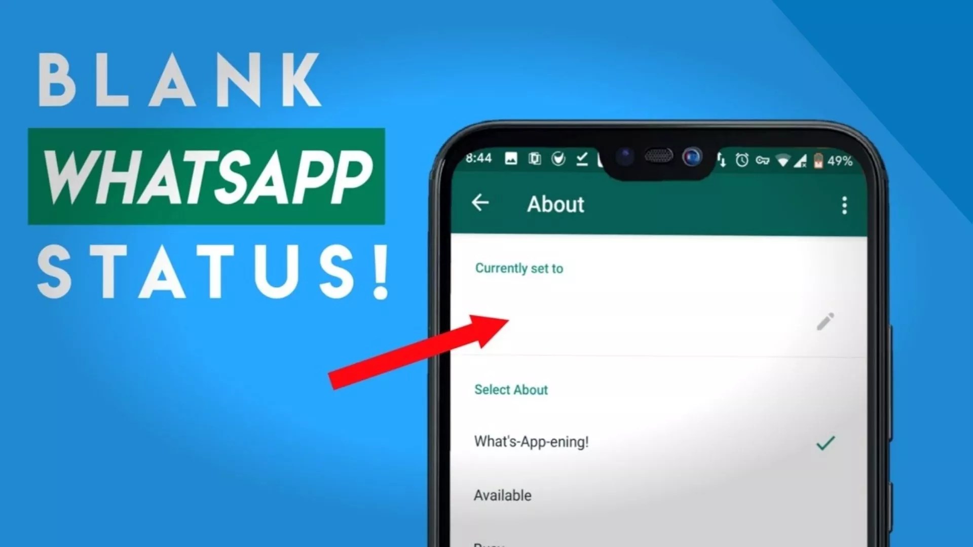 How to Set Blank Status on WhatsApp in 2022