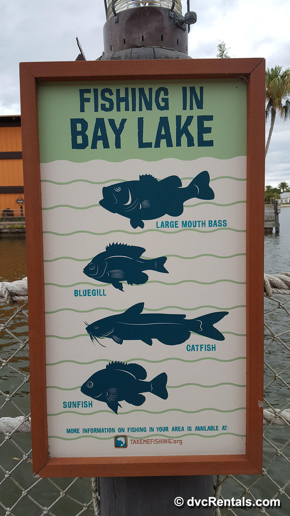 Bass Fishing In The Magic Kingdom Area At Walt Disney World