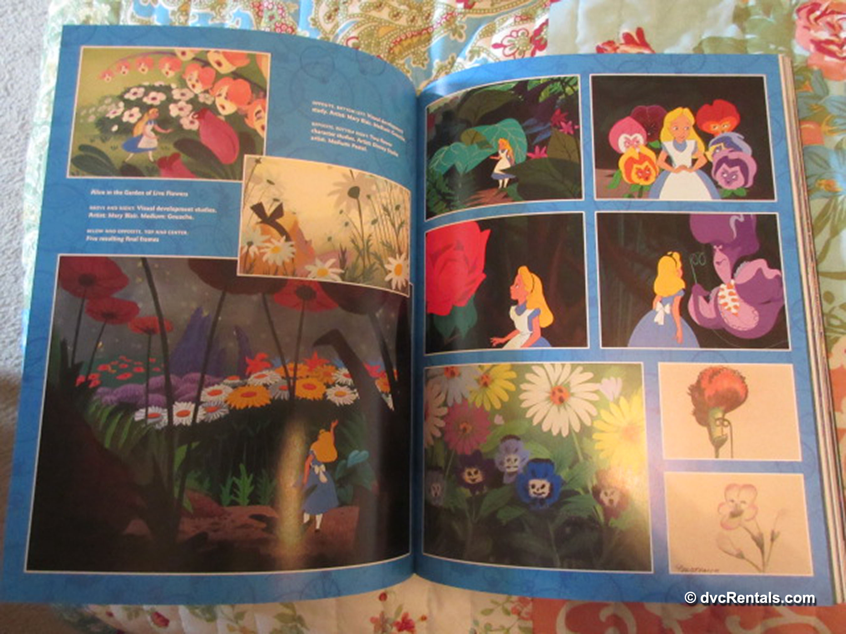 Summer Reading for Disney Fans