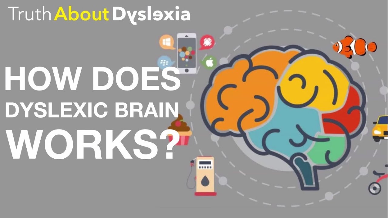 How do dyslexic brains work? Dyslexia the Gift Blog