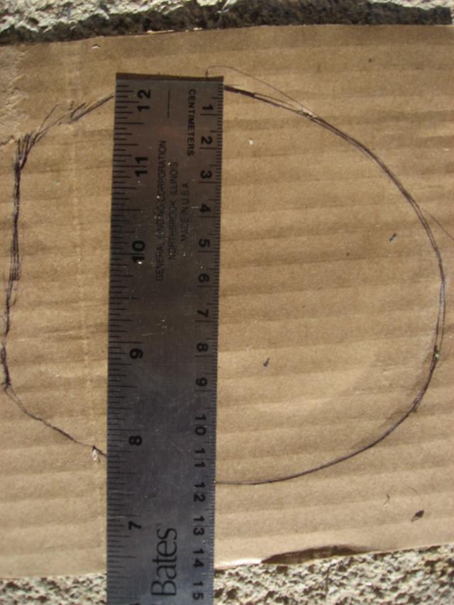 The Best Way to Measure EasyCare Hoof Boot News