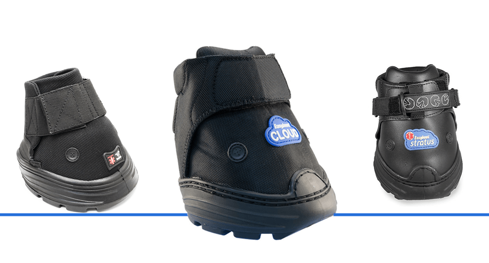 Which Therapy Boot is Right for You? EasyCare Hoof Boot News