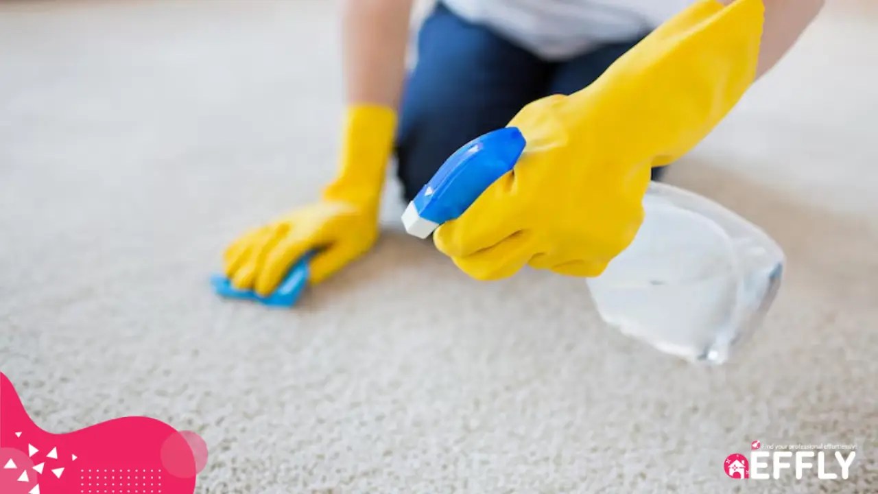 WalkOn Dry Cleaning Service With Electrodry Carpet Cleaners