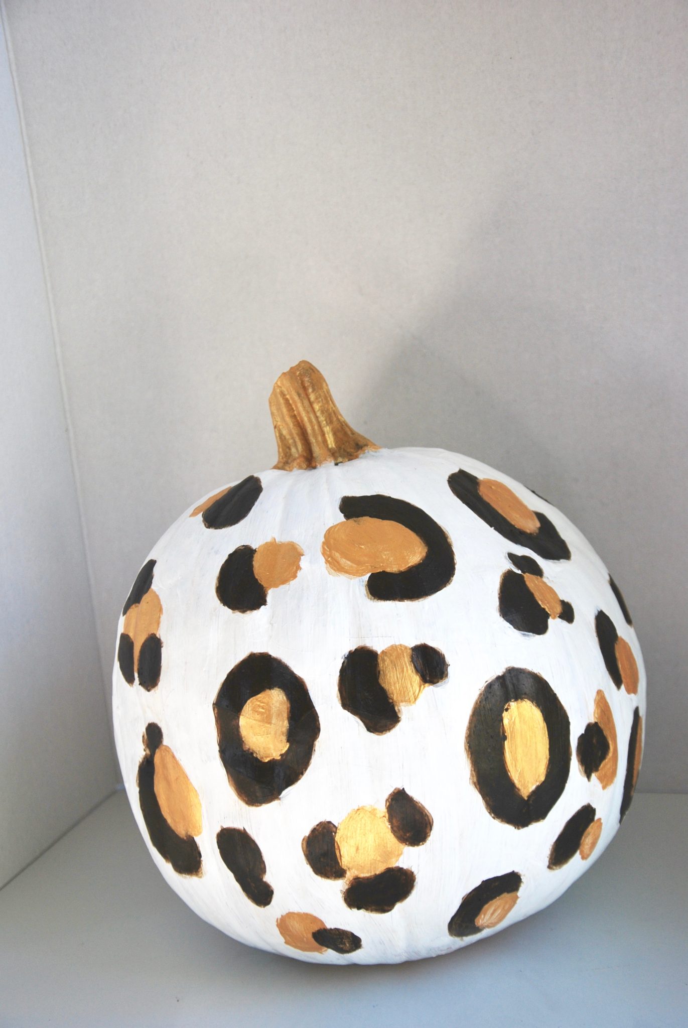 DIY Leopard Pumpkin Showit Blog