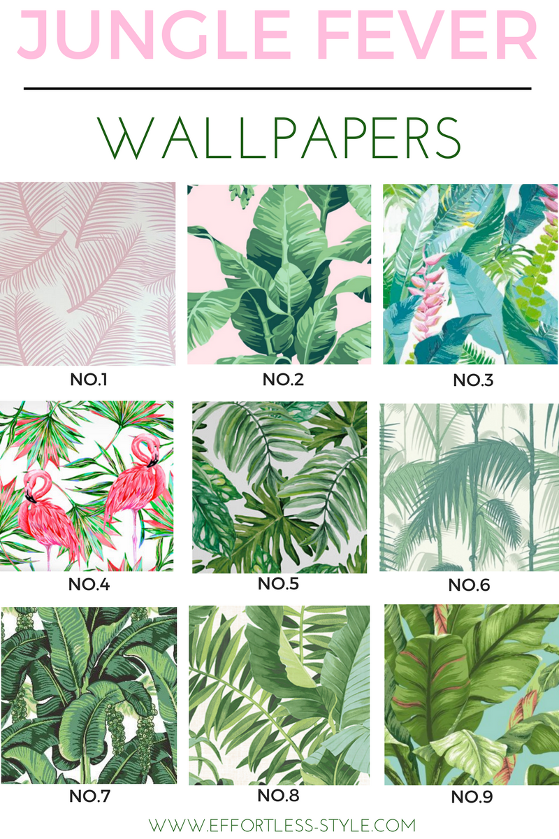 Jungle Fever Wallpaper Round up! Showit Blog