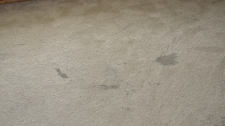 How To Get Foundation Out Of Carpet