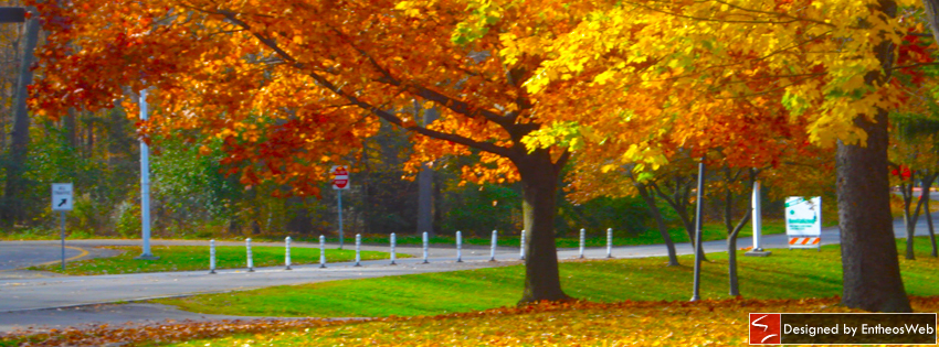 Free! Bright & Breezy Autumn Themed Facebook Timeline Covers EntheosWeb