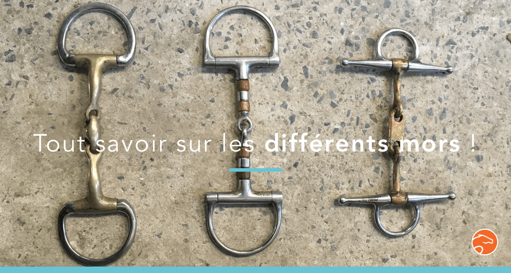 5 min pour comprendre les différences d'action entre les