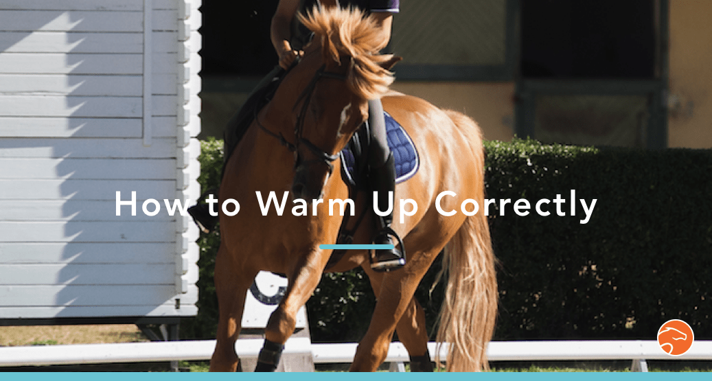 How to Plan your Horse’s Training for the Entire Season Equisense Blog