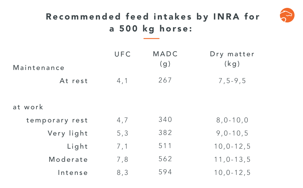 Feeding Your Horse Depending on his Nutritional Needs Hard to do