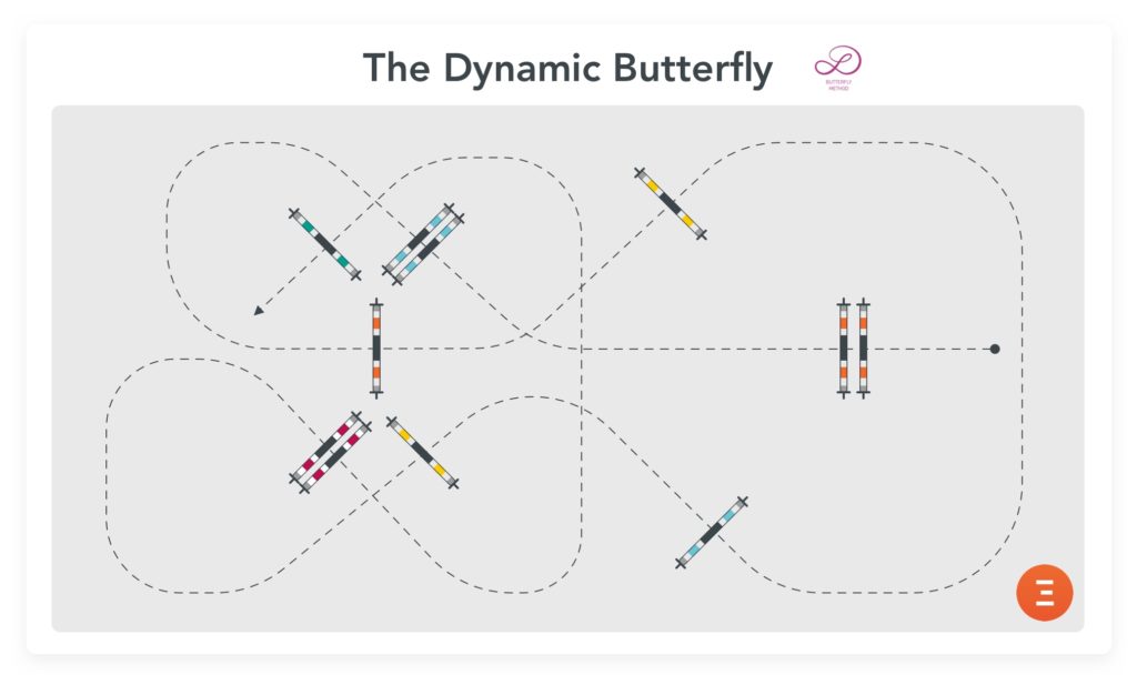 Luciana Diniz' Butterfly Method Equisense Blog