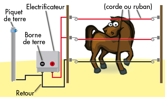 Mise A La Terre Cloture Electrique Blog Equitelec