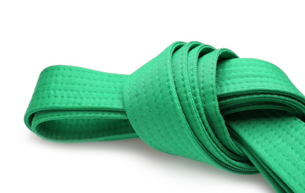 10 Careers You Can Pursue With a Six Sigma Green Belt ExpertRating Blog