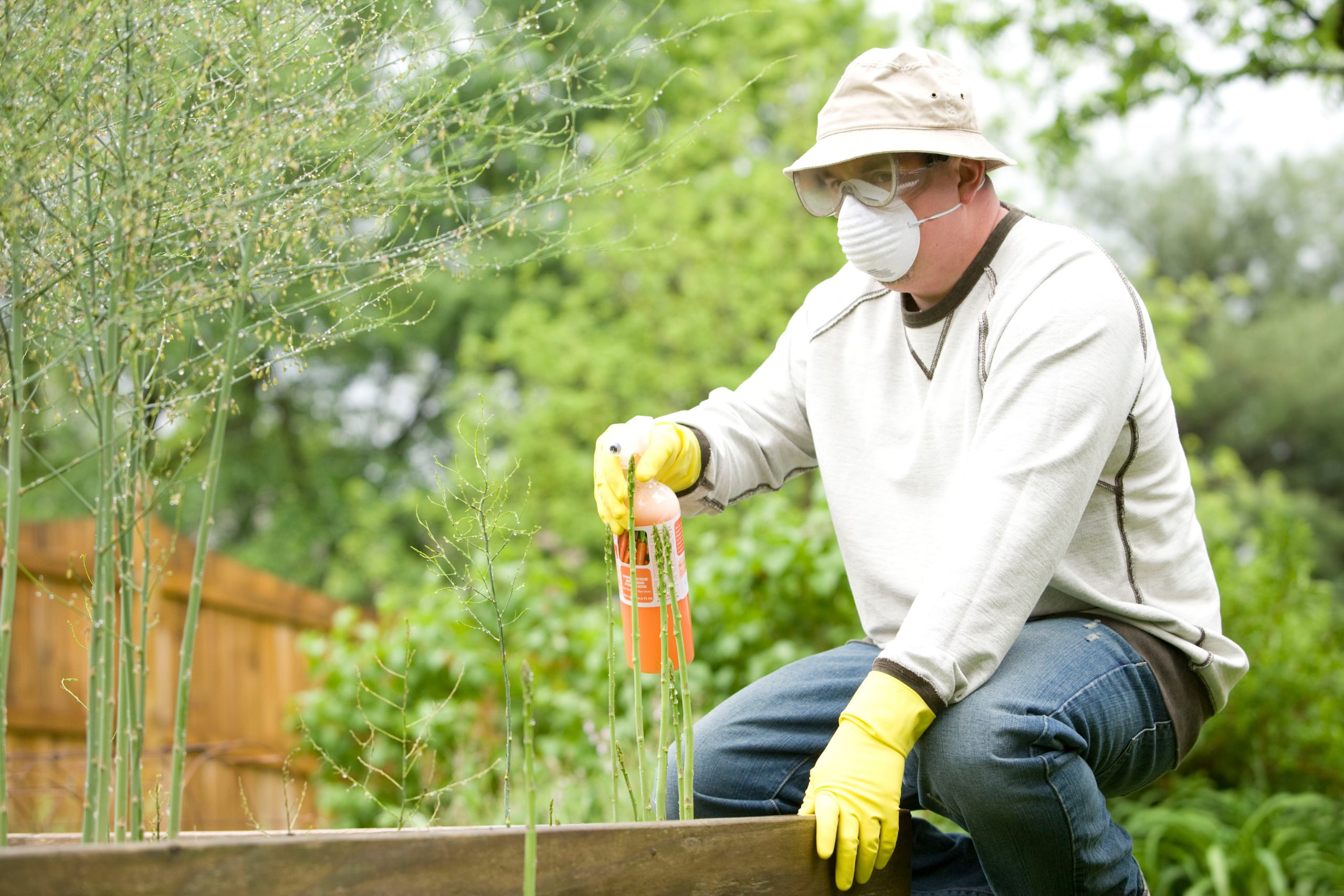 Top Pest Control Companies in Australia