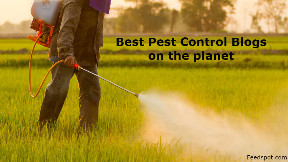 Best Pest Control Best Pest Control sites