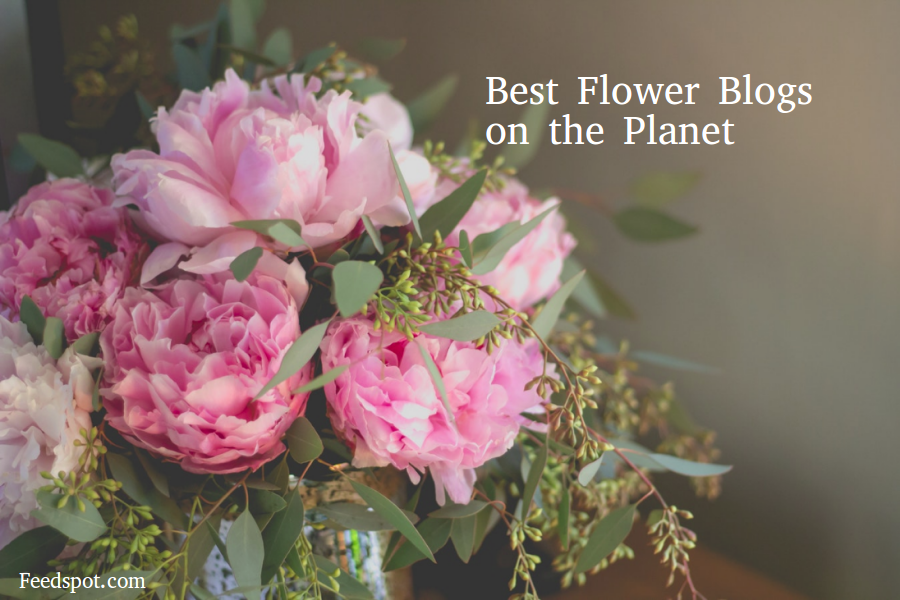 100 Best Flower Blogs and sites To Follow in 2024
