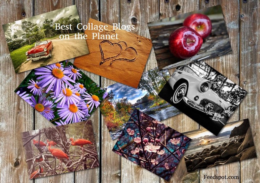 35 Best Collage Blogs and sites for Collage Artists in 2024