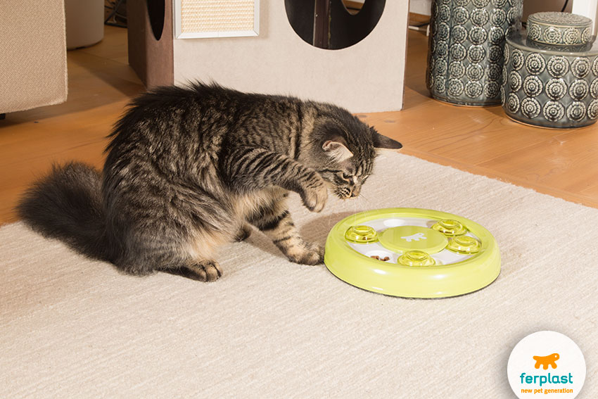 Mental stimulation toys for cats LOVE FERPLAST