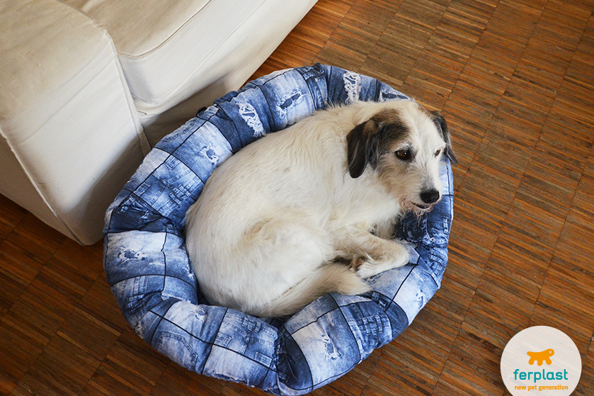 Choose the right sized Ferplast Siesta Deluxe dog bed