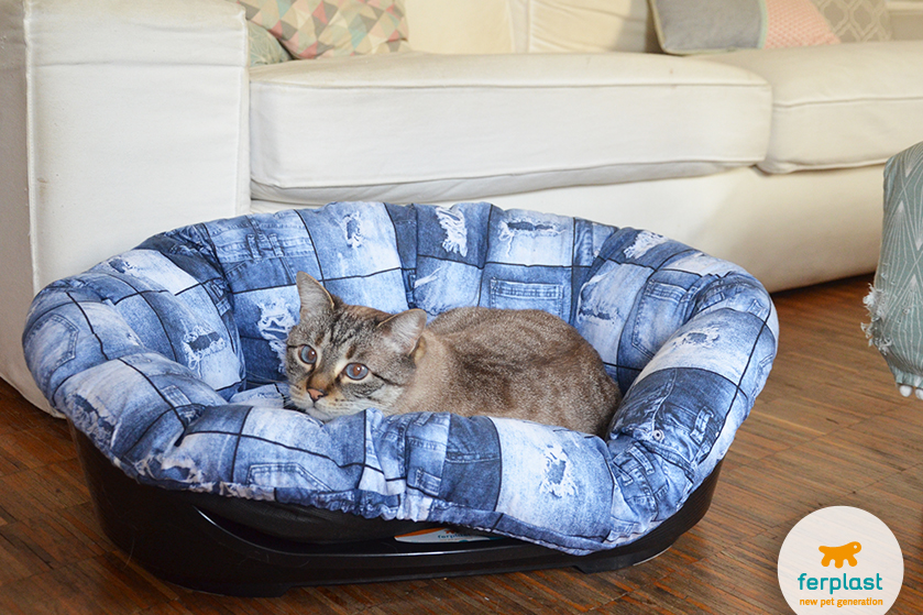 Choose the right sized Ferplast Siesta Deluxe dog bed