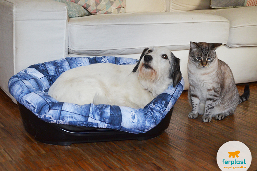 Choose the right sized Ferplast Siesta Deluxe dog bed