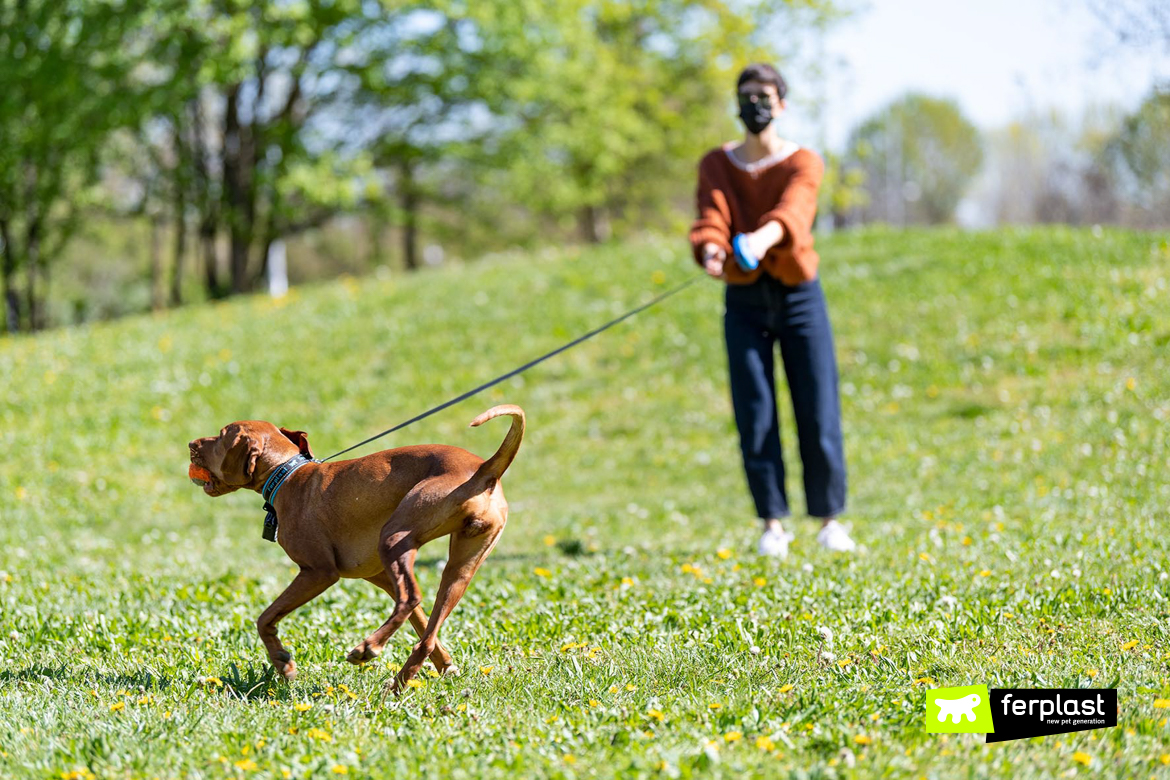Benefits of using a retractable leash. Flippy One The New Retractable Leash By Ferplast