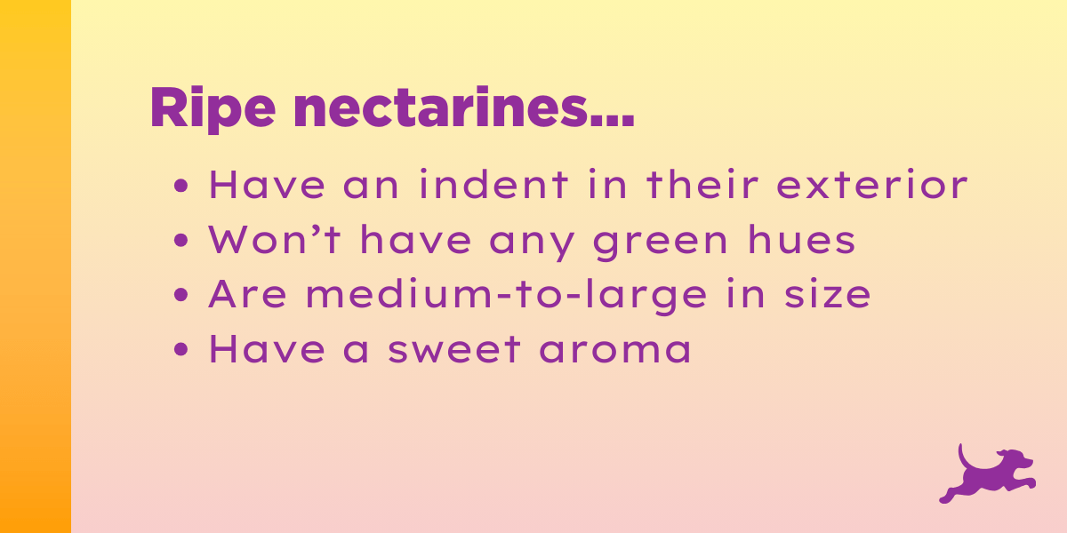 When is Nectarine Season? How to Pick, Store, Cut Nectarines